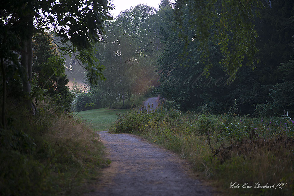 Foto av Eva Bucksch